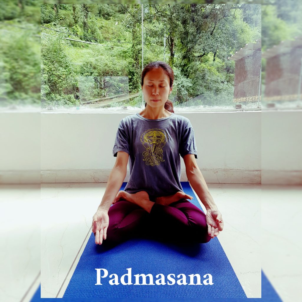 Meditation, yoga or senior woman in pilates lotus pose for wellness, zen  energy or chakra training